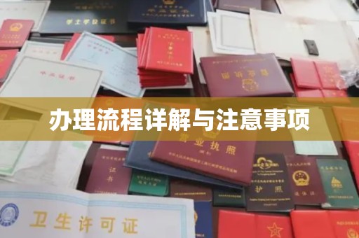 龙潭办理流程详解与注意事项